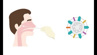 Describing antigen testing for COVID 19 [upl. by Inasah]