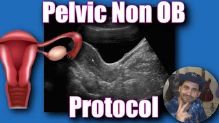 Pelvic Ultrasound Non OB Protocol [upl. by Rhoads136]