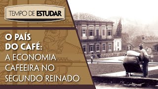 O país do café a economia cafeeira no Segundo Reinado l Tempo de Estudar  História  8º ano [upl. by Nahor]