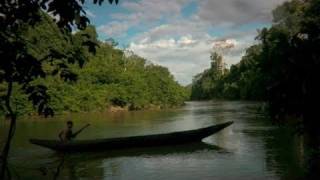 Stranger in the Forest quotFirst Contactquot in the Amazon [upl. by Enomas]