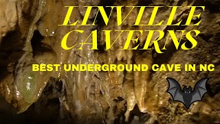 Linville Caverns  Best Underground Cave In North Carolina NC [upl. by Ibbison439]