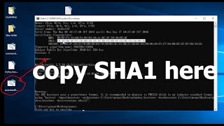 Batch file  How to create keystore keystorejks and get SHA1 for API key [upl. by Jelks]