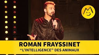 Roman Frayssinet  quotLintelligencequot des animaux [upl. by Ahseinod]