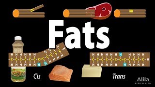 Unsaturated vs Saturated vs Trans Fats Animation [upl. by Lenuahs]