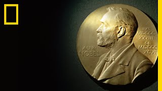 What Is the Nobel Prize  National Geographic [upl. by Chatwin]