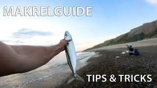 Makrelfiskeri  Tips amp Tricks [upl. by Latham]