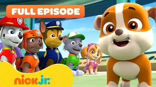 Rubble Joins the PAW Patrol and the Pups Save a Walrus  FULL EPISODES  Nick Jr [upl. by Wyatan]