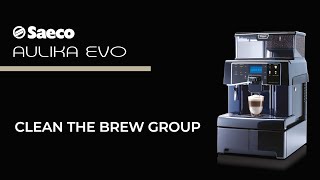 Aulika Evo Top  Brew Group Cleaning [upl. by Hoagland]