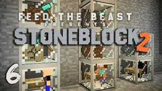 StoneBlock 2 Modpack Ep 6 Automatic Sieve Setup  Item Sorting [upl. by Domineca]