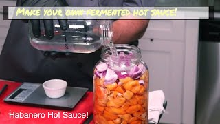 How to Make Pineapple Habanero Hot Sauce Making the fermentation [upl. by Hourigan117]