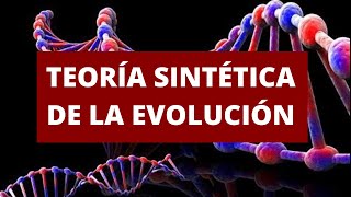 TEORÍA SINTÉTICA DE LA EVOLUCIÓN [upl. by Nyleda395]