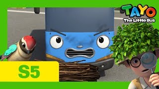 Tayo S5 EP7 l Tayos bird friend l Tayo the Little Bus [upl. by Afra]