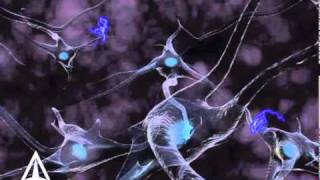 How Neurotransmission amp brain signals work  3D animation [upl. by Bilak]