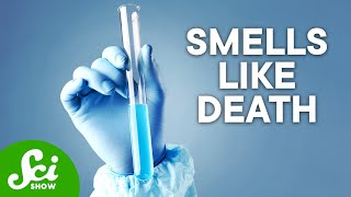 The 5 Most Dangerous Chemicals on Earth [upl. by Avot]