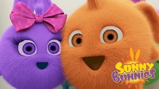 LIVE  SUNNY BUNNIES  Special SUNNY BUNNIES GO LIVE  Cartoons For Children [upl. by Zachariah]