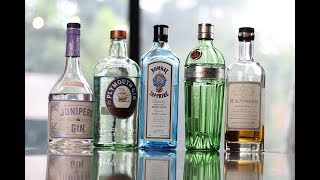 Gin Collection  Top 5 Diverse Picks [upl. by Searby584]