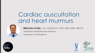 VET Talks Cardiac Auscultation and Heart Murmurs [upl. by Nnahaid]