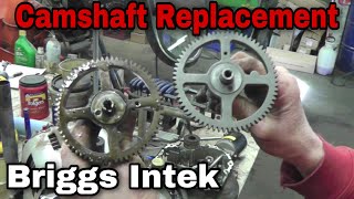 Troubleshoot amp Replace Camshaft On Briggs amp Stratton Intek Engine [upl. by Aziram]