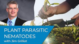 Plant Parasitic Nematodes [upl. by Aznaed]