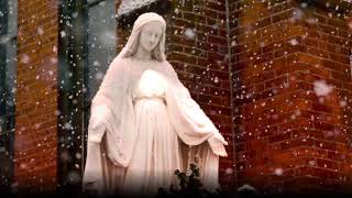 Immaculate Mary w lyrics  Catholic Hymn [upl. by Nnyledam]