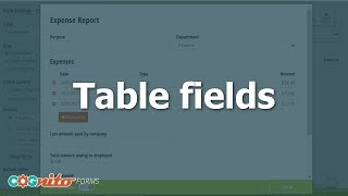 Working with Table Fields  Cognito Forms [upl. by Lak]