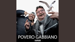 Povero Gabbiano [upl. by Naesar]