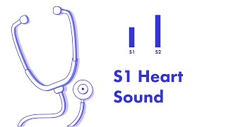 S1 Heart Sound  Learn How to Auscultate Part 8 [upl. by Nnylecoj780]