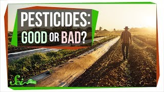 How Safe Are Pesticides Really [upl. by Iona733]