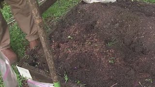 Gardening tip Turning over soil [upl. by Esined]