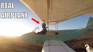 HomeMade Electric Airplane [upl. by Carmelia499]