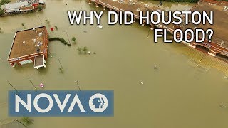 Why Did Houston Flood [upl. by Llerred657]