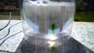 Photocatalytic Water Splitting [upl. by Mcmaster655]