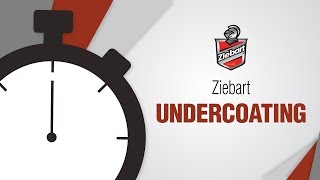 Ziebart Undercoating in 24 Seconds [upl. by Emelia930]