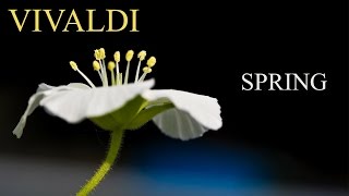 VIVALDI The Four Seasons Spring quotLa primaveraquot FULL  Classical Music HD [upl. by Niletac356]