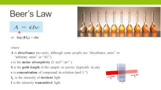 Spectrophotometric Enzyme Assays [upl. by Acinaj]