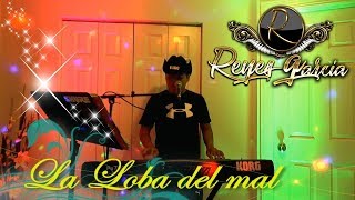 Tecladista de chicago Reyes Garcia tocando Huapangos en vivo contrataciones 773 603 7067 [upl. by Marcelline]