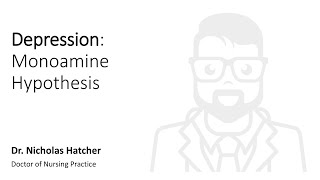 Depression Monoamine Hypothesis [upl. by Harwill]