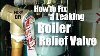 How to Repair a Leaking Boiler Relief Valve Easy DIY [upl. by Boorer972]