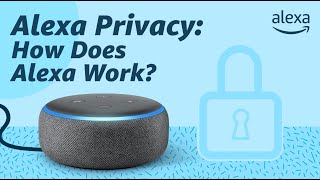 Alexa Privacy How Does Alexa Work [upl. by Prowel]