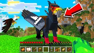 TAMING a FLYING Minecraft HIPPOGRYPH Pet [upl. by Beata]