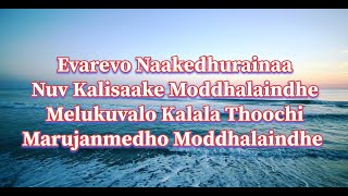 Evarevaro Lyrics  Animal  Telugu Song  Evarevaro Audio [upl. by Yerroc35]