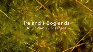 Irelands Boglands  A Hidden Wilderness [upl. by Winfrid]