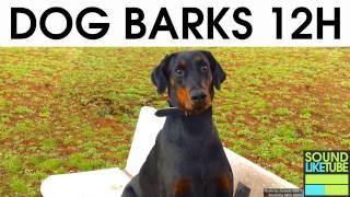 DOG BARKING 12 Hours Sound Effect [upl. by Dav]