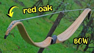 Making a Red Oak Recurve Bow [upl. by Ahtabat180]