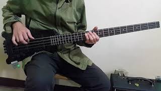 Steinberger Spirit Bass [upl. by Chad715]