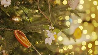 🎄 100 POPULAR CHRISTMAS SONGS  5 Hours  No Ads  4K [upl. by Swithbart]