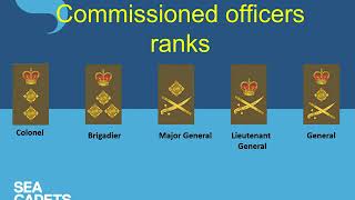 British Army Ranks And Royal Air Force Ranks [upl. by Refennej934]