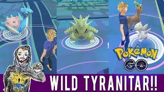 A Wild Tyranitar Has Appeared Pokemon GO Nightly Adventure Alameda CA Wild Lapras Rare Spawns [upl. by Kloman26]