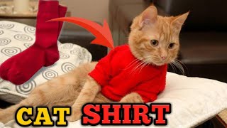 Diy cat shirt with socks at home [upl. by Buchanan]