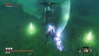 Sekiro Shadows Die Twice  Underwater Headless Boss Fight amp Location  Ashina Castle [upl. by Corvese]